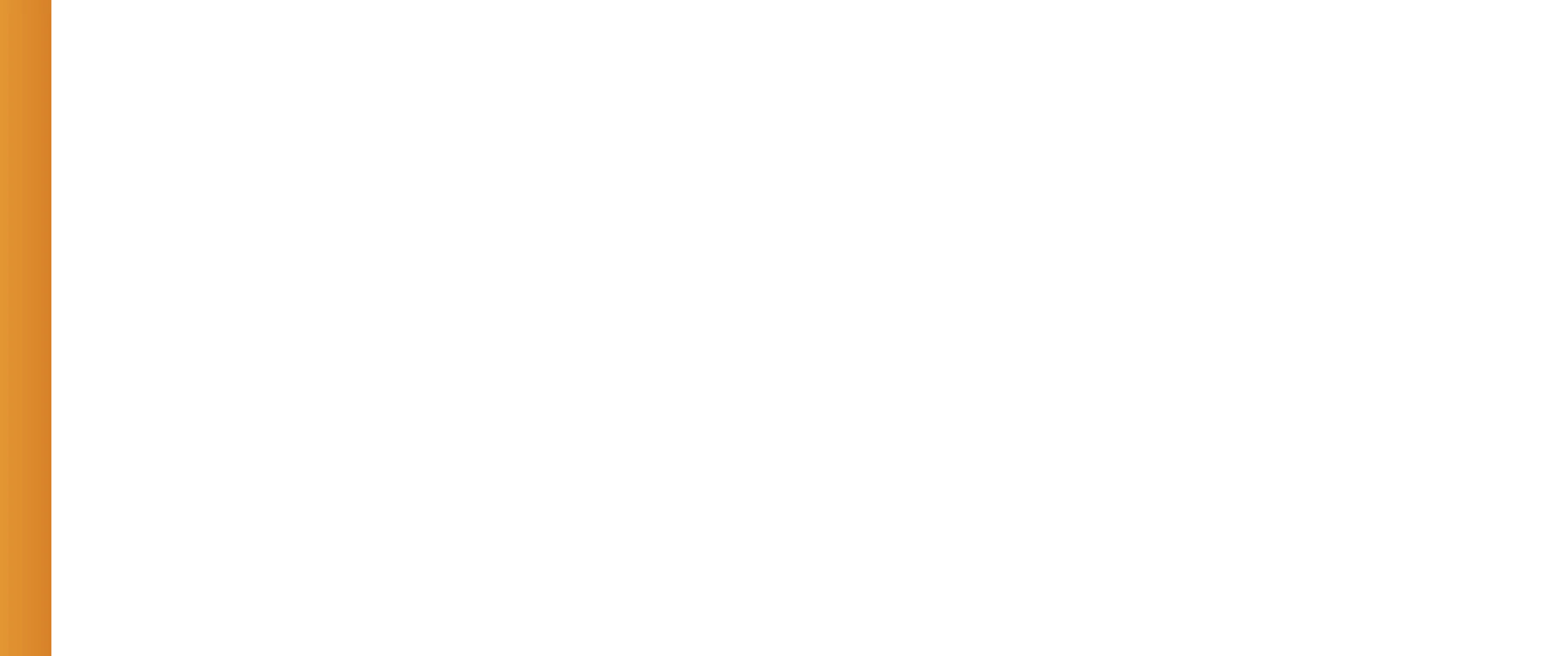 New Peaks company logo for ERP solutions
