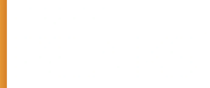 New Peaks company logo for ERP solutions